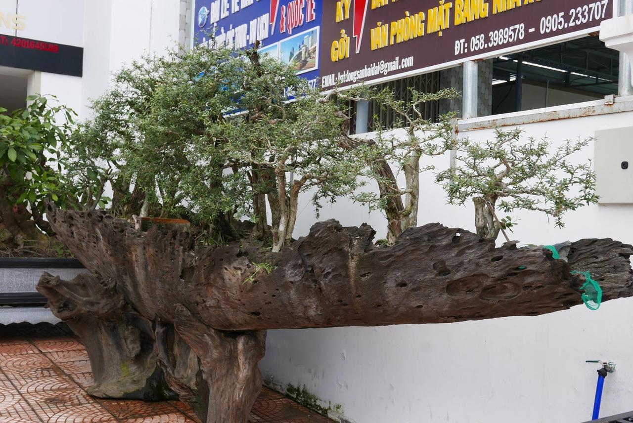 Allure Hotel Thuy Trieu Luaran gambar